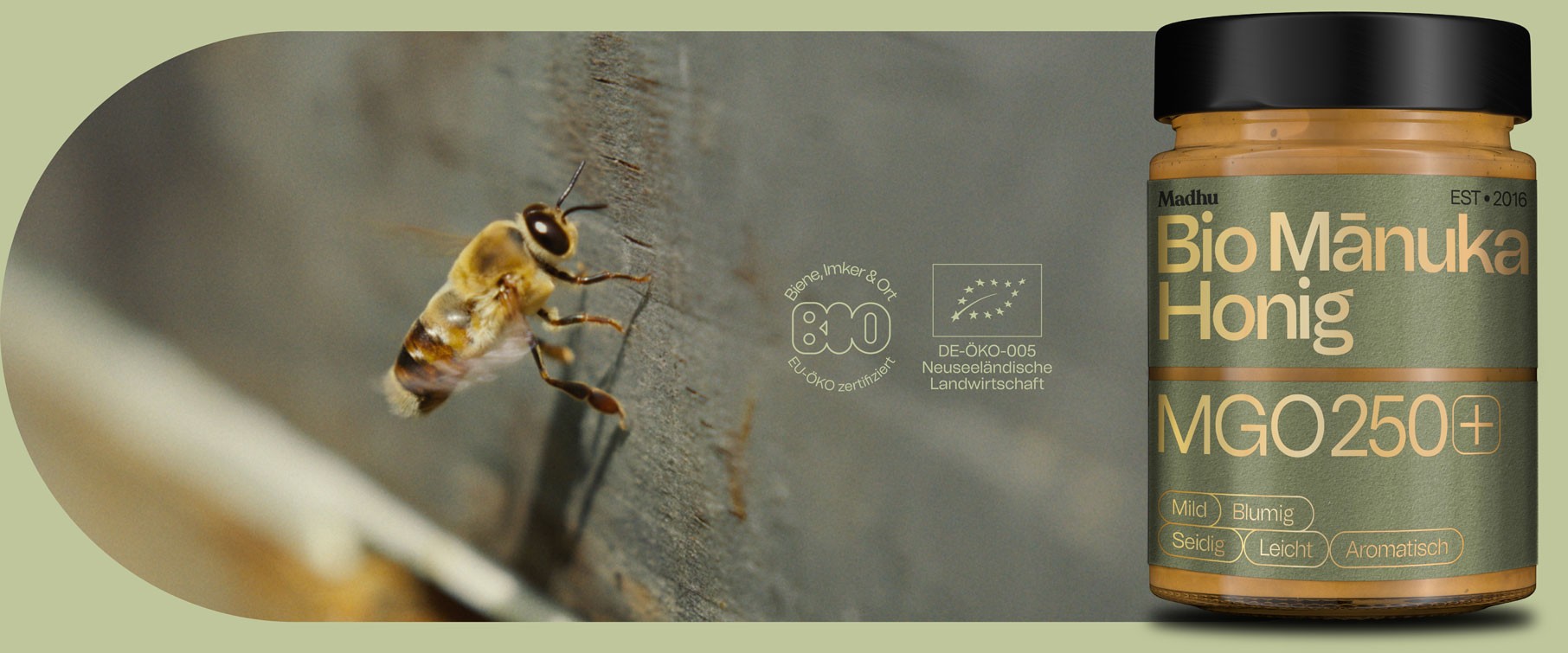 Bio Manuka Honig mit Bienen